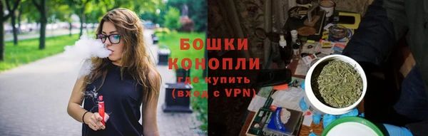 прущие грибы Зеленокумск