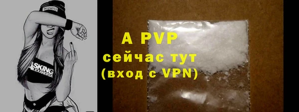 прущие грибы Зеленокумск