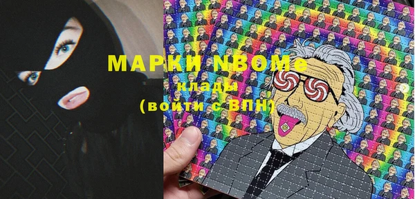 прущие грибы Зеленокумск