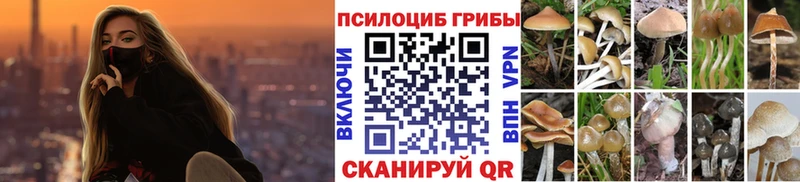 Галлюциногенные грибы мицелий  Купить  Ельня 